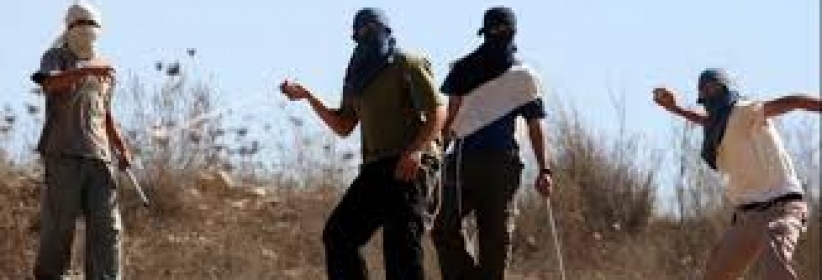 مستوطنون يهاجمون المركبات بالحجارة ويعربدون جنوب جنين