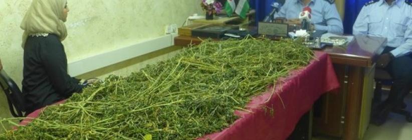 وقائي الخليل يضبط 10 كغم مخدرات