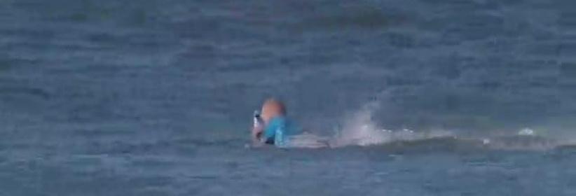 بالفيديو : سمكة قرش تهاجم 