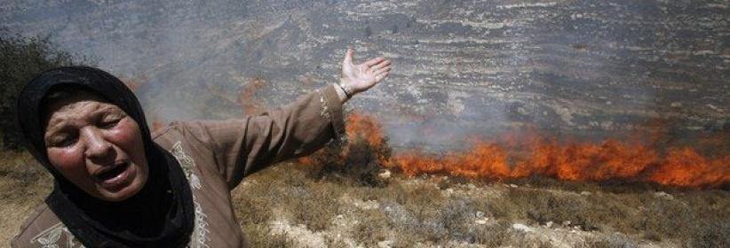 مستوطنون يحرقون أشجار زيتون غرب بيت لحم