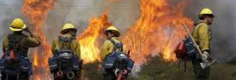 إخماد حريق في منطقة جبلية غرب الخليل