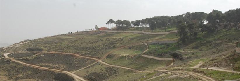 مصادرة 740 دونما من أراضي العيسوية والطور