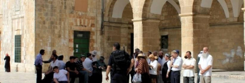 مستوطنون يقتحمون الأقصى من باب المغاربة