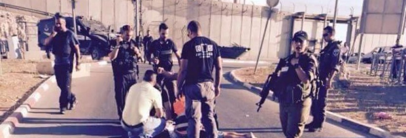 الشاباك: اعتقلنا 40 ناشطا من حماس بنابلس وصادرنا 4 مليون شيقل