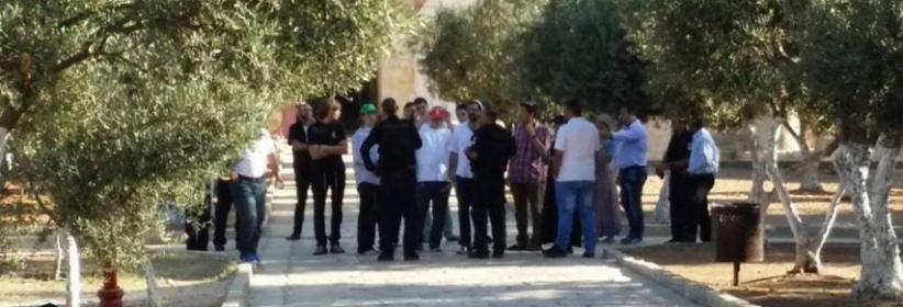 تشديدات على أبواب الأقصى و52 مستوطنًا يقتحمونه