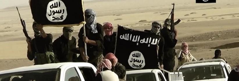 الأمم المتحدة: ثلث أراضي العراق تحت سيطرة 