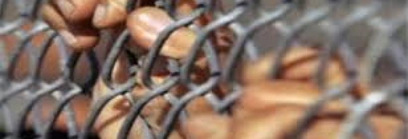 إدارة سجن مجدو تنتهج عقابًا جديدًا مع الأشبال