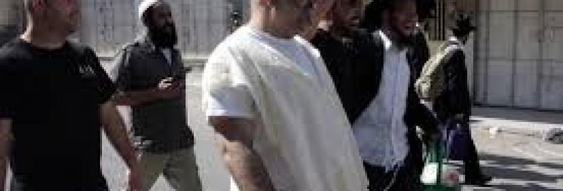 مستوطنون يحطمون مركبات لمقدسيين بالشيخ جراح