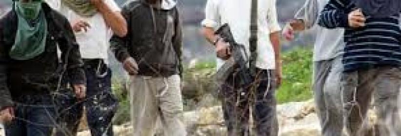 المستوطنون ينفذون اعتداءات على المداخل الواصلة بين الخليل وبلداتها