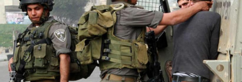 الاحتلال يعتقل ثمانية مواطنين من الضفة