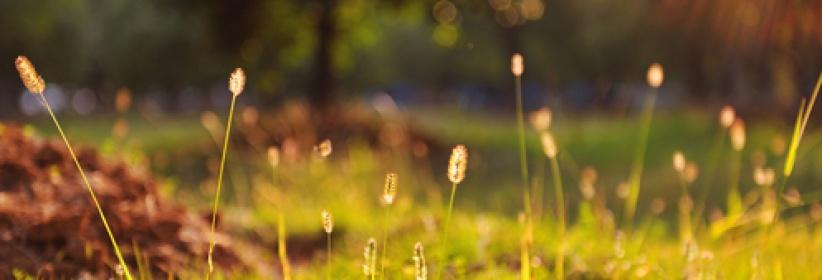 الطقس حتّى الإثنين - فرص مهيّأة لتساقط أمطار محلية