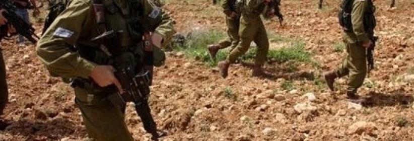 الاحتلال يمنع عشرات المزارعين من الوصول إلى حقول الزيتون في نعلين