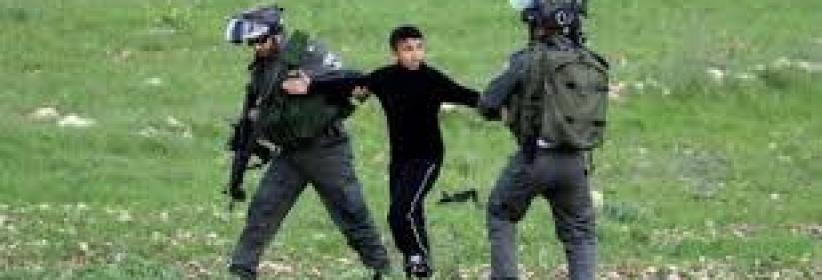 الاحتلال يعتقل طفلا ووالده أثناء قطفهما الزيتون شرق قلقيلية