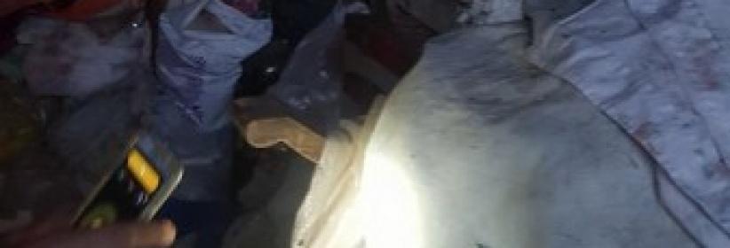 روائح كريهة من منزل مُسنة مصرية .. وماعثرت عليه الشرطة مُروع وصادم