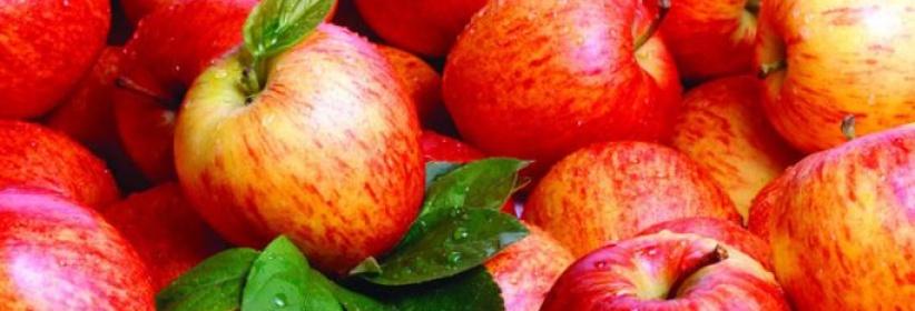 التغذية الصحية مهمة لمرضى السكري