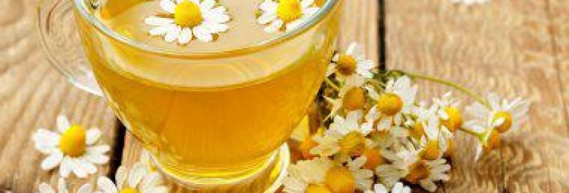 فوائد البابونج منها علاج التهابات المفاصل ومكافحة السرطان