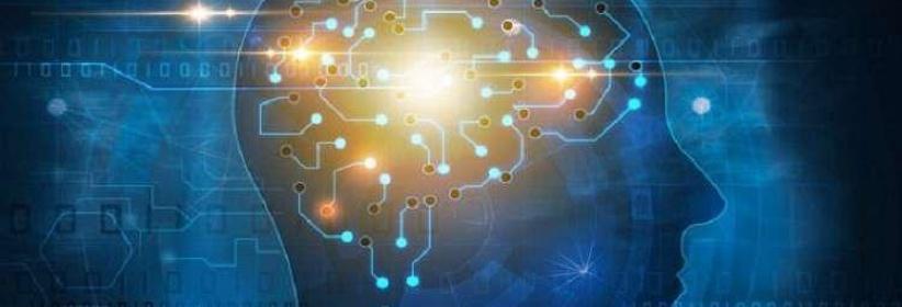 الأذكياء أكثر عرضة للأمراض العقلية والجسدية