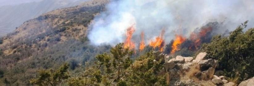 حريق ضخم يلتهم 900 دونم من جبال القدس