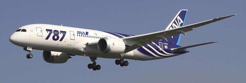 هبوط اضطراري بسبب مشاجرة زوجية عنيفة