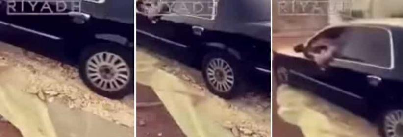 بالفيديو| شاب يدهس الخبز بسيارته يثير استياء المعلقين