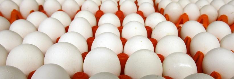 تحذير: لا لتخزين البيض بباب الثلاجة