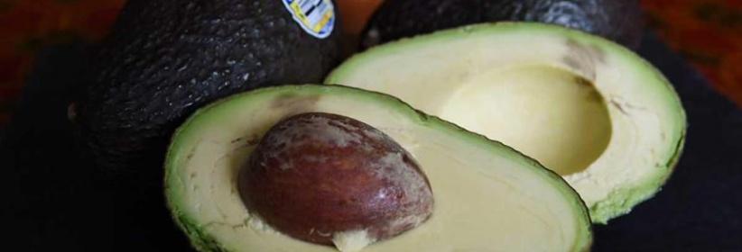 أطعمة شائعة تحمي الدماغ وتقوي الذاكرة