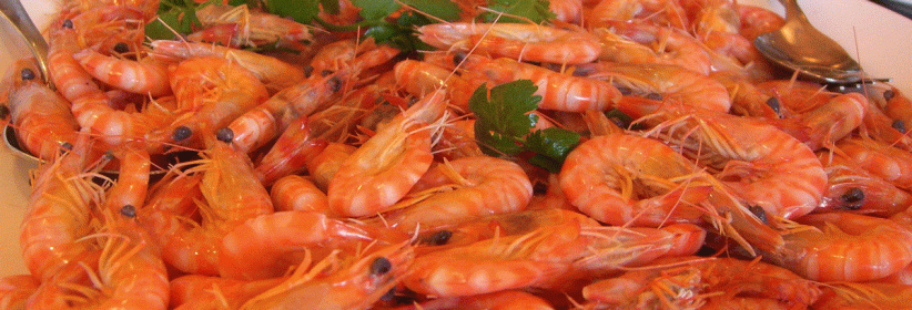 المأكولات البحرية لذيذة ومغذية.. وضارة للبعض