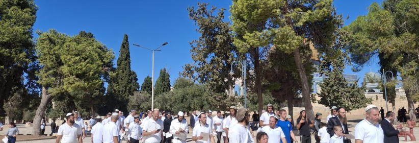 (محدث) 1271 مستعمرا يقتحمون المسجد الأقصى المبارك