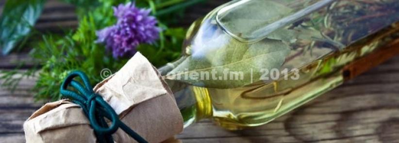 نبتة إكليل الجبل (روزماري)...لعلاج العديد من الأمراض