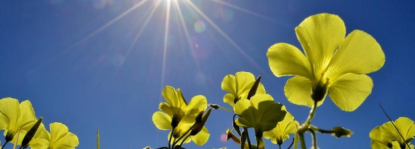 حالة الطقس لليوم الجمعة 24-5-2013