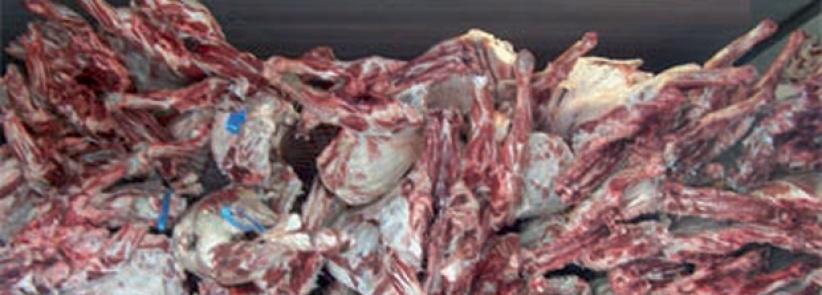 ضبط نصف طن لحم دجاج فاسد برام الله