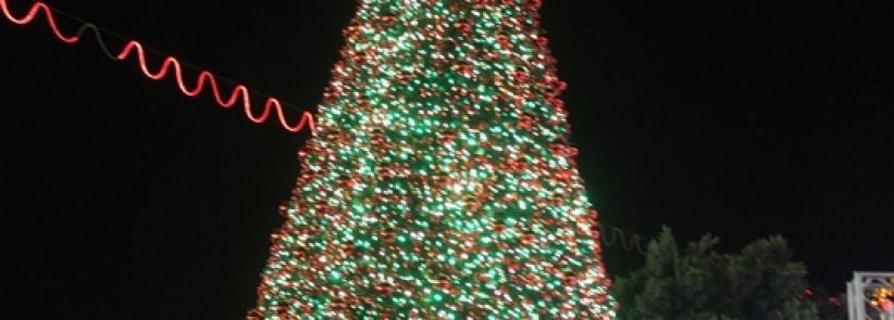 هكذا أضاءت بيت لحم شجرة الميلاد