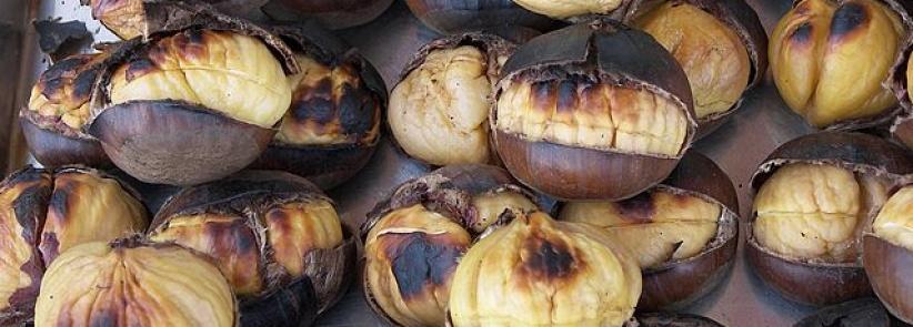 الكستناء غذاء الموسم تعرف على قيمته الغذائية