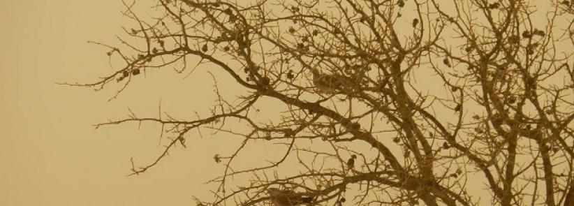 حالة الطقس لليوم السبت 22-2-2014