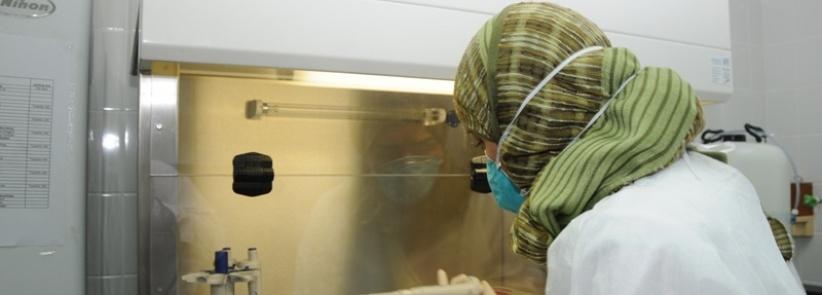 الصحة تؤكد جاهزيتها لمواجهة 