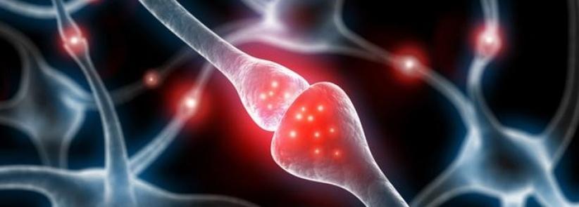 دراسة: كثرة الجلوس تقلل معدل الذكاء وتضر بالمخ