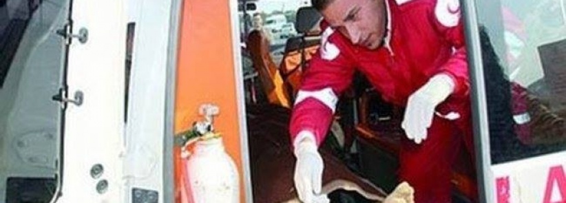 اصابة حرجة في حادث دهس لمواطنة في بيت جالا