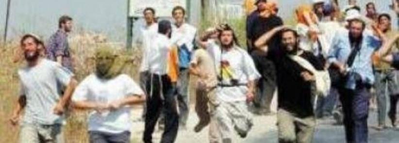 مستوطنون يهاجمون مركبة مستشار رئيس الوزراء