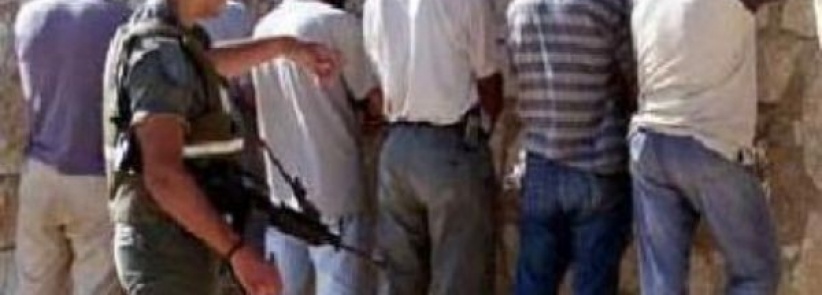 الاحتلال يعتقل 52 عاملا فلسطينيا