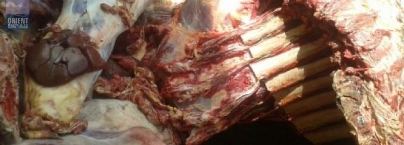 إصابة شرطي إسرائيلي في عملية دهس بالخليل