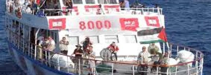 حملة إلكترونية لحماية أسطول الحرية