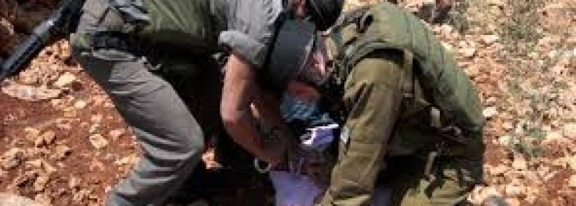 قوات الاحتلال تعتقل فتيين جنوب الخليل