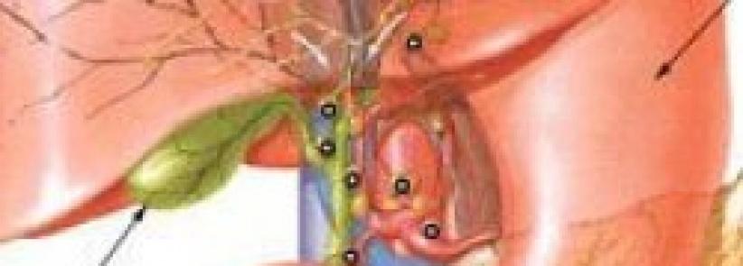 الصيام لا يمثل خطورة على مرضى زراعة الكبد