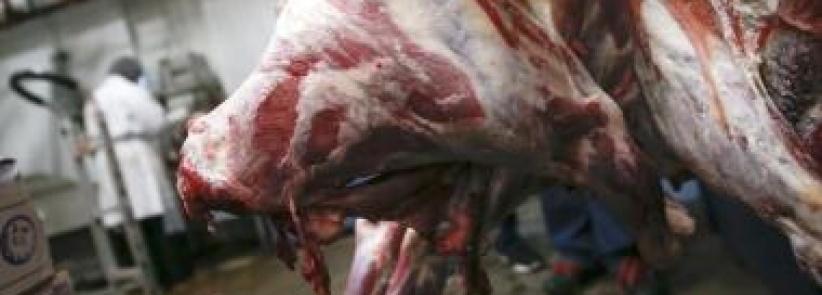 ارتفاع حاد في اسعار اللحوم قبل حلول شهر رمضان
