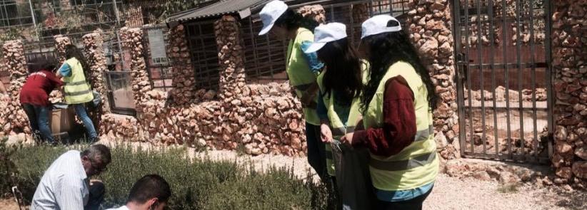 بالصور| نشاط تطوعي لشبيبة الطالبة المسيحية والمجلس الشبابي في بيت ساحور