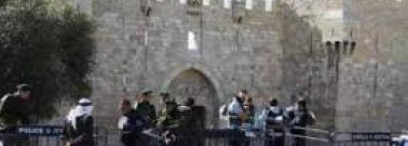 مستوطنون يقتحمون الأقصى وإبعاد 6 نساء لأسبوعين