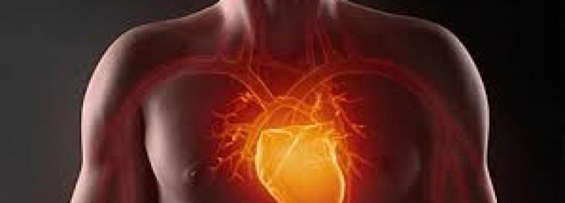 فوائد الصيام على أمراض القلب والأوعية الدموية