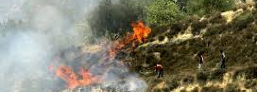 مستوطنون يحرقون محاصيل زراعية شرق برام الله