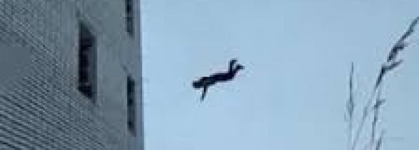 وفاة عامل في يطا سقط عن بناية قيد الانشاء