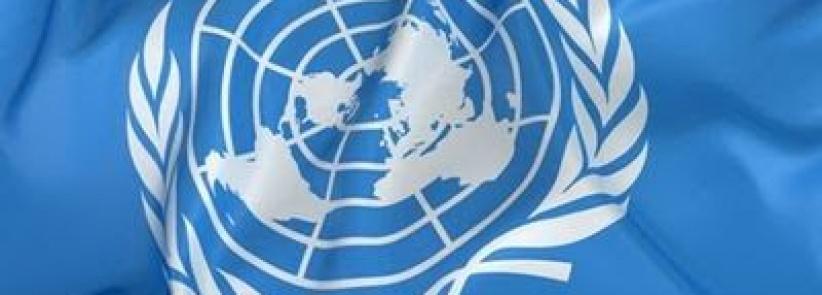 المالكي يؤكد على أهمية اجتماعات لجنة الأمم المتحدة المعنية بحقوق شعبنا غير القابلة للتصرف